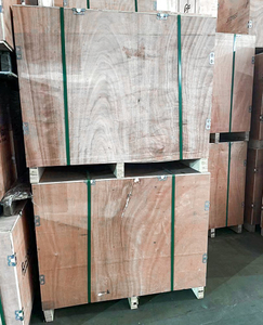 Delivery02_0001_IMG_2705